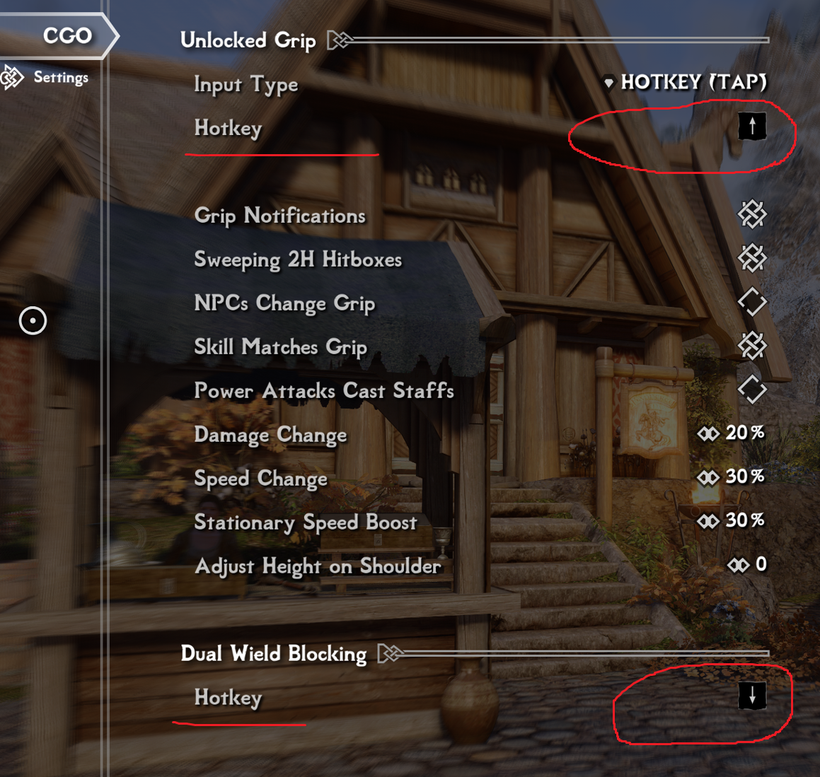 CGO settings