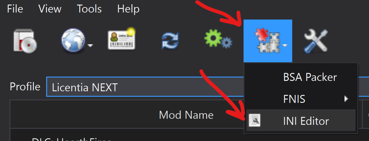 MO2 ini editor
