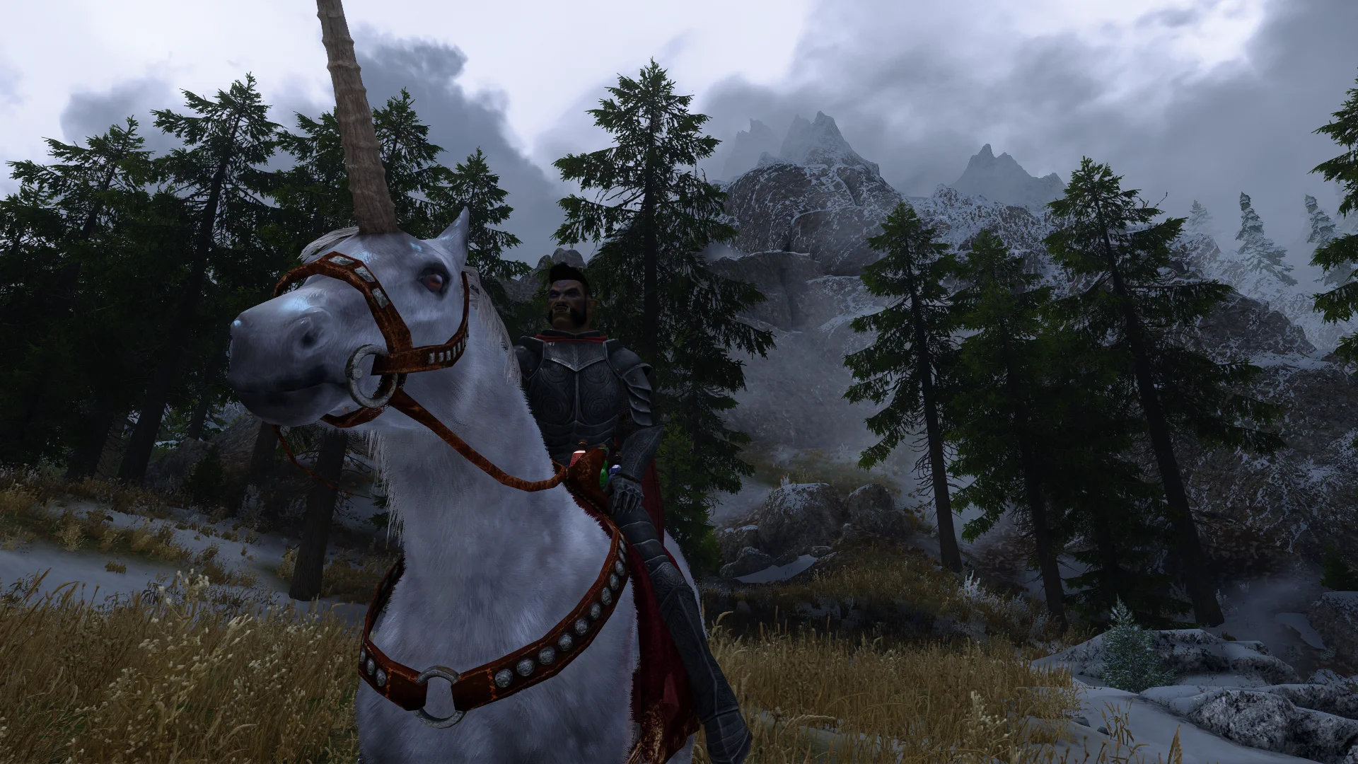 Licentia NEXT media screenshot 12