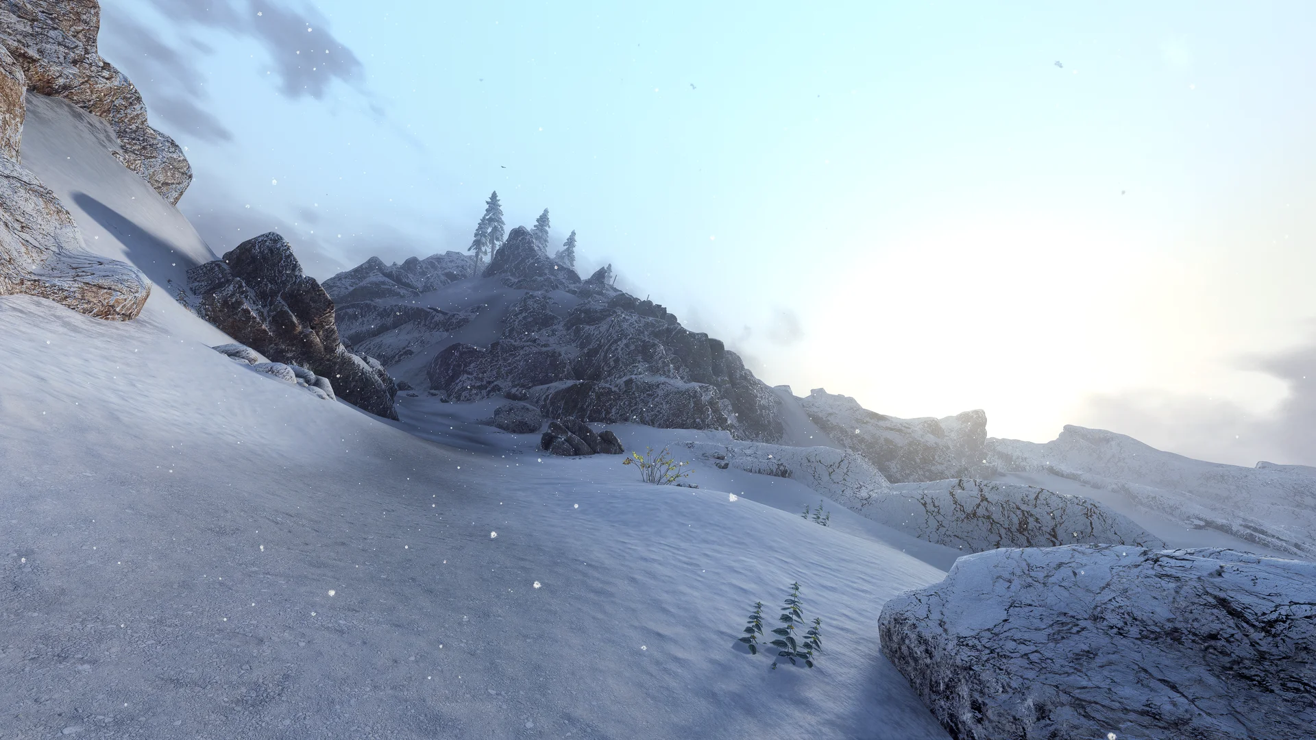 Licentia NEXT showcase screenshot 3