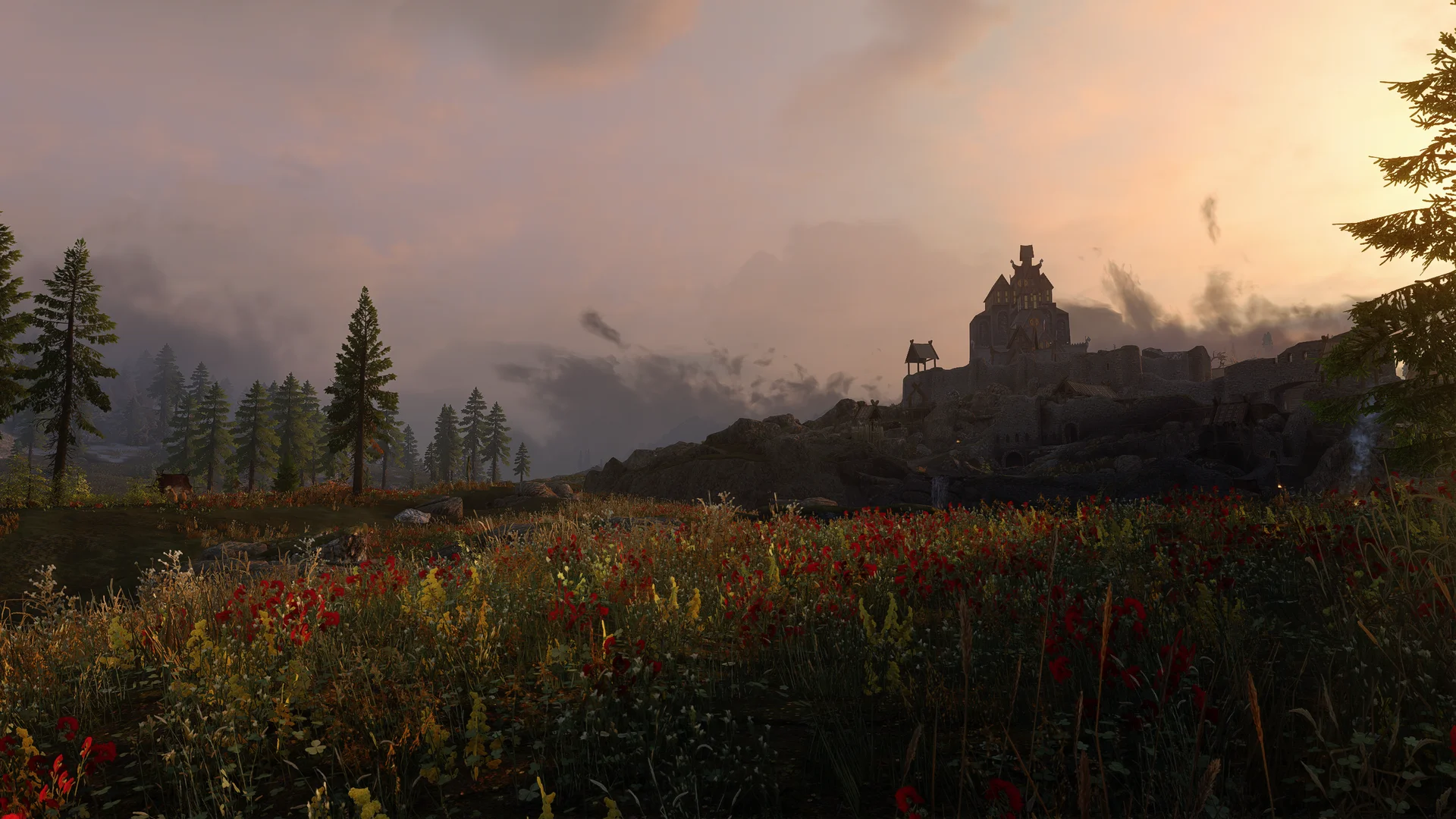 Licentia NEXT media screenshot 18