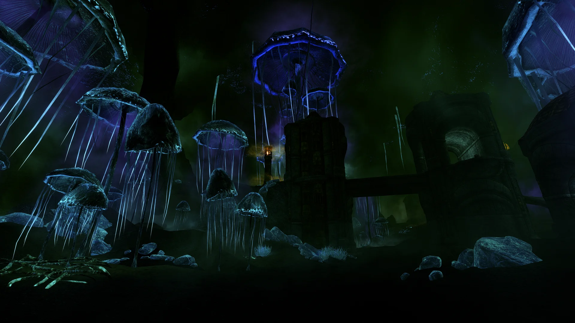 Licentia NEXT media screenshot 21