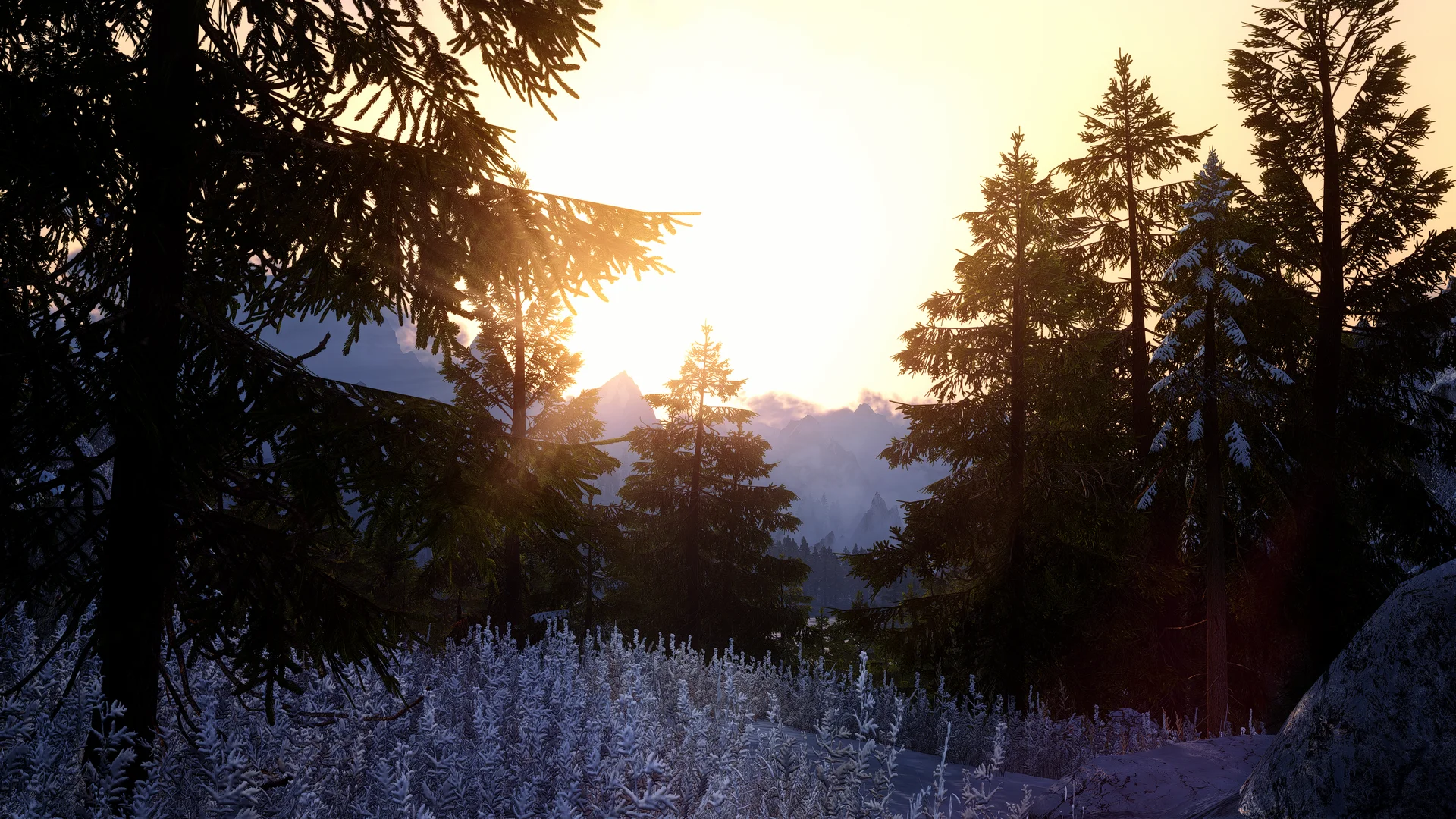 Licentia NEXT showcase screenshot 7