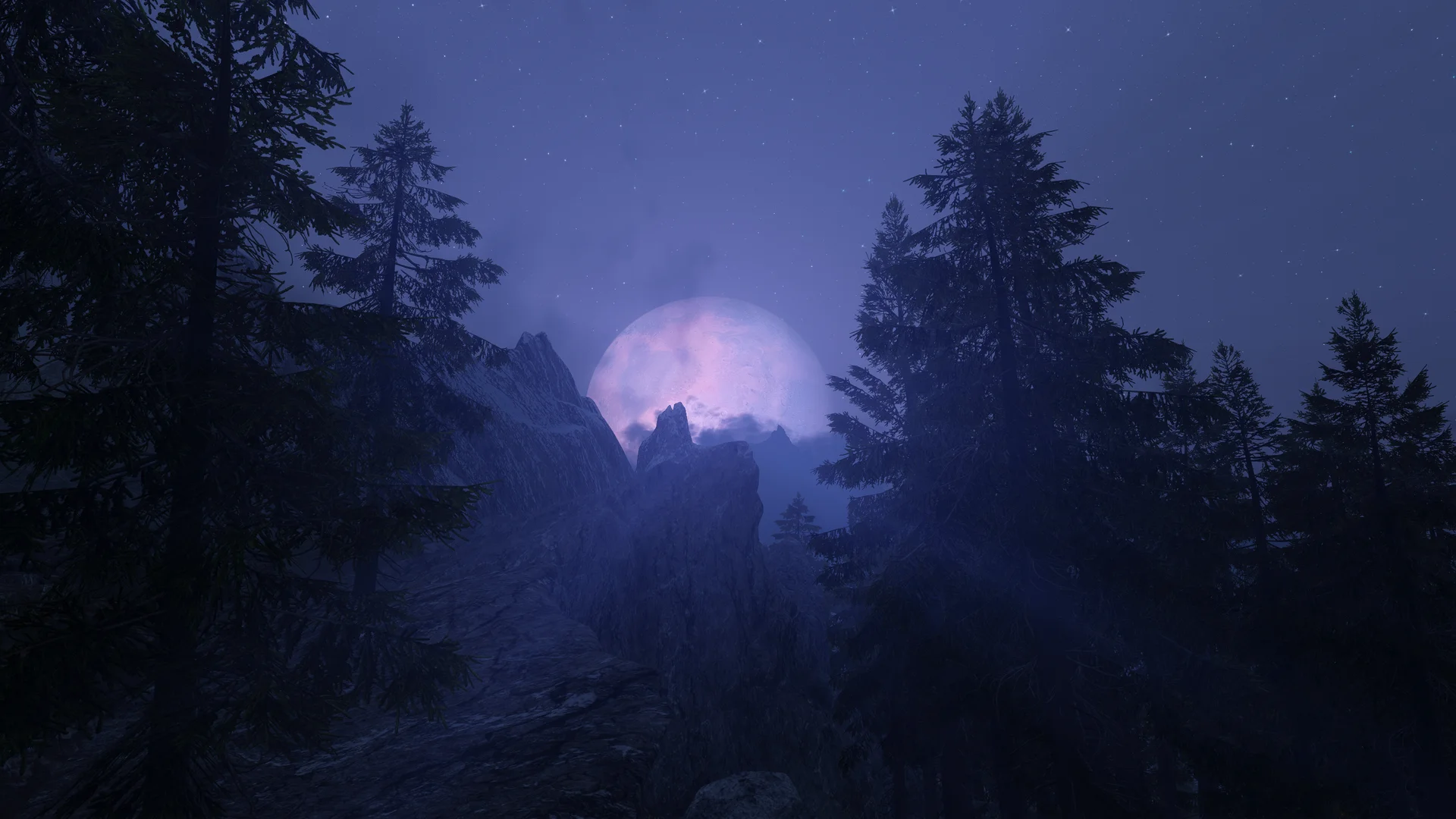 Licentia NEXT media screenshot 23