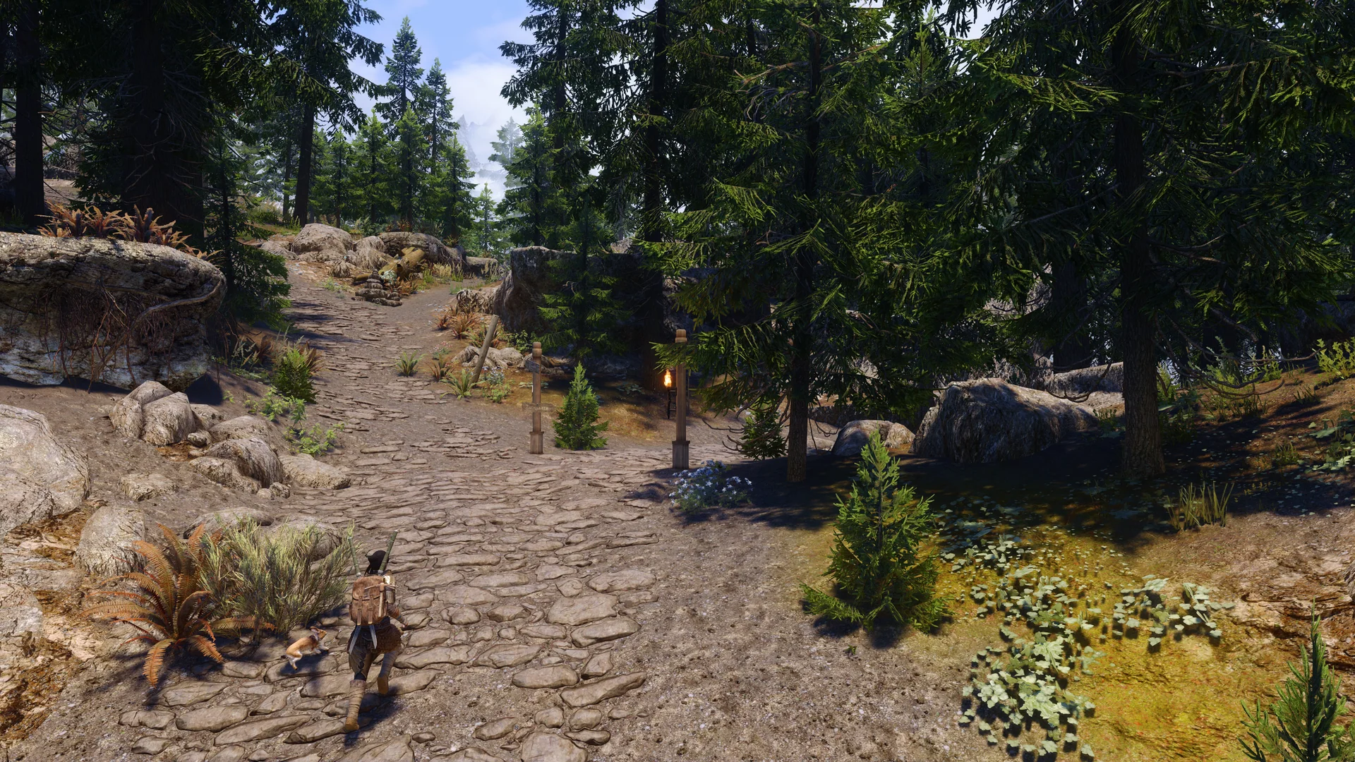 Licentia NEXT showcase screenshot 23