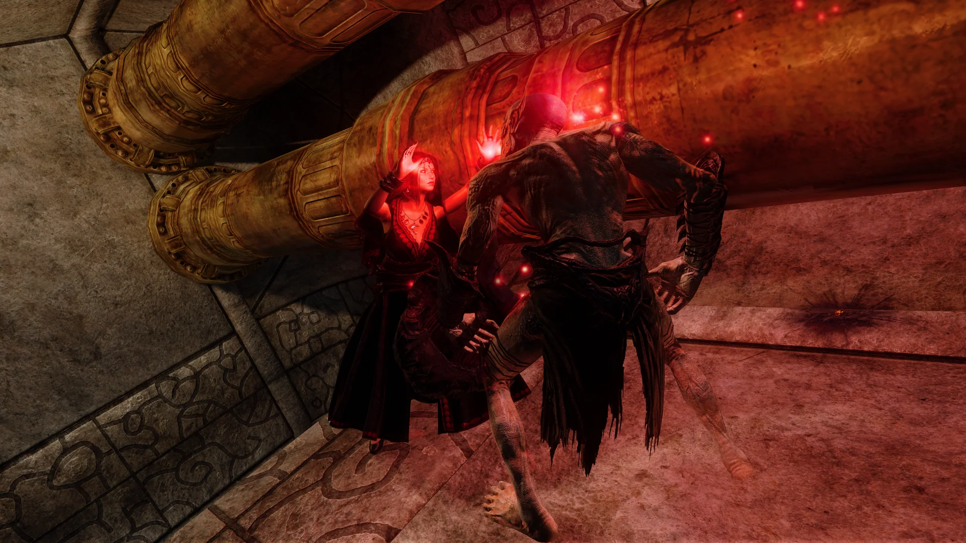Licentia NEXT media screenshot 46